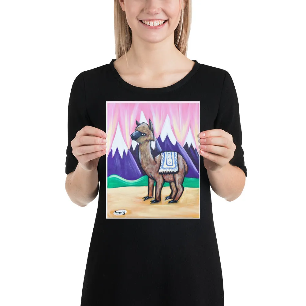 Alpaca
