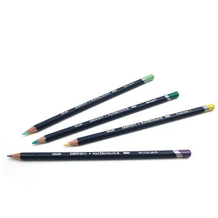 Derwent Watercolor Pencil in 70 French Grey